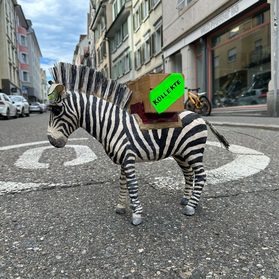 Zebra auf dem Zebraplatz beim Kaffeehaus St. Gallen